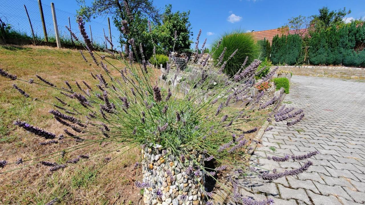 Apartma Ksela Mala Nedelja Exterior foto